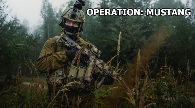 27.05 – 28.05. Operation Mustang